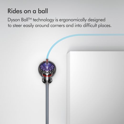 Dyson Big Ball Animal 2 Cylinder Vacuum Cleaner - Annotation - Rides on balls shot